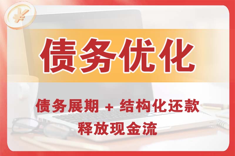 定西债务优化